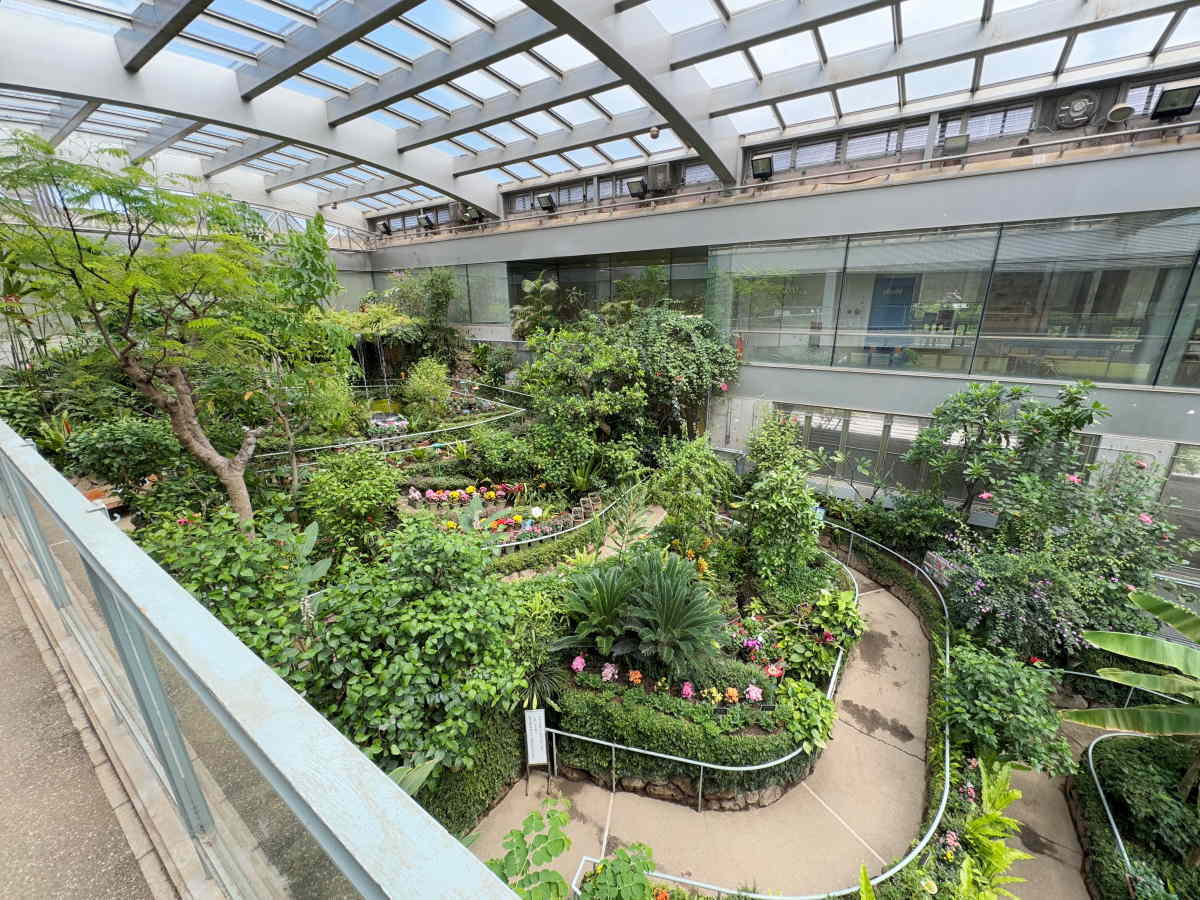 石川県ふれあい昆虫館