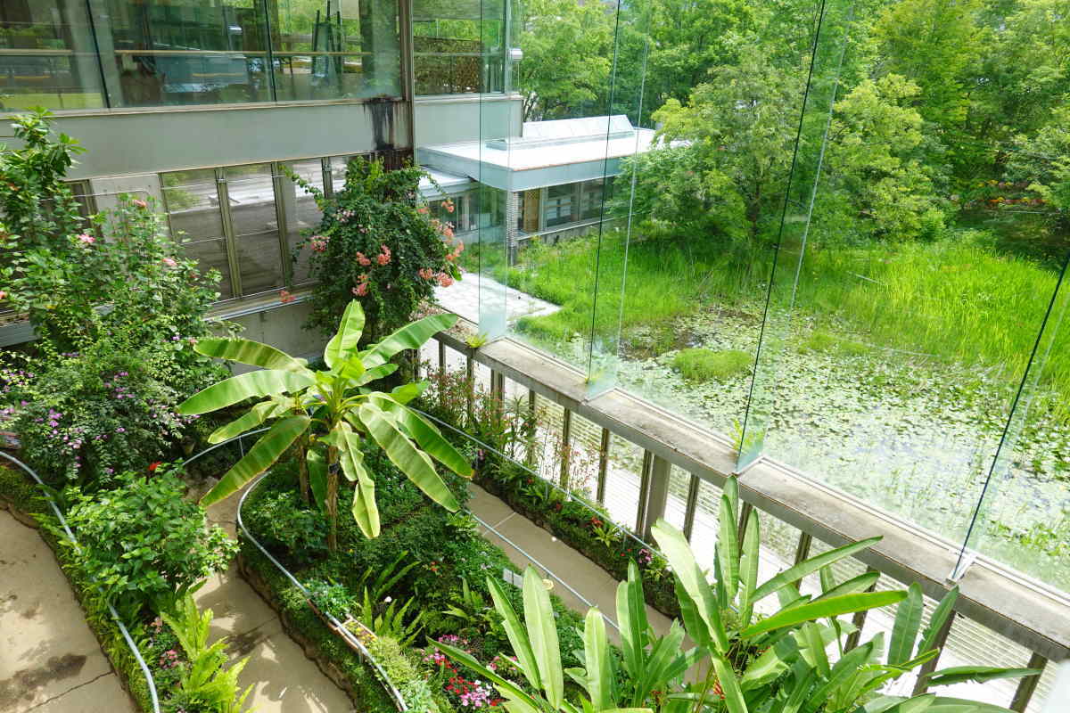 石川県ふれあい昆虫館